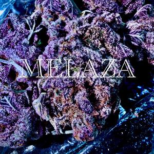MELAZA