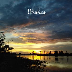 Wishes