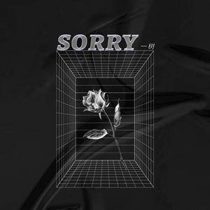 别讲抱歉 (Sorry)