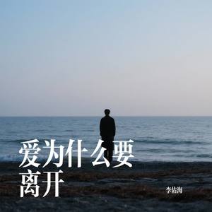 爱为什么要离开