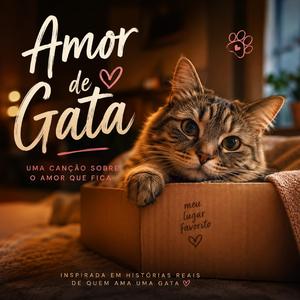 Gata de Caixa