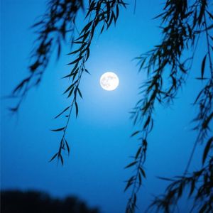 秋水共长如期约