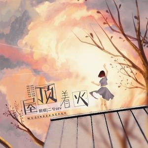 屋顶着火【电音版】