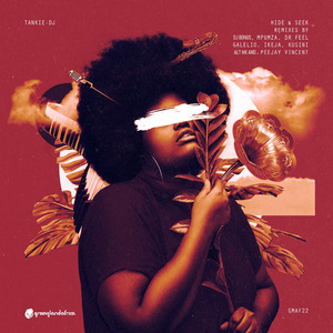 Hide & Seek (Peejay Vincent & Tankie Dj Remix)