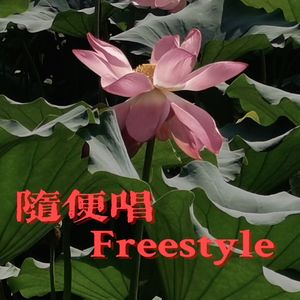 随便唱Freestyle