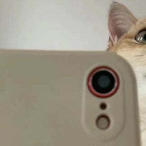 这一生关于你的风景