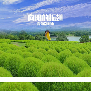 向阳的阶梯上