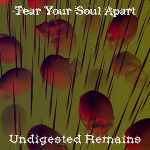 Undigested Remains