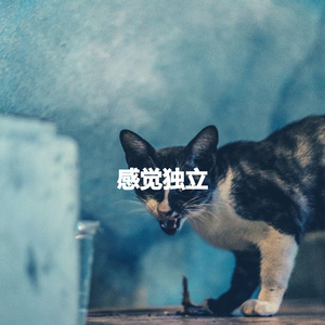 Classic Son Montuno Trumpet - Vibe for Great Lounges