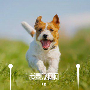 我喜欢狗狗