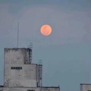 我们的乐队-溯(干净女声)（Arrebol ）