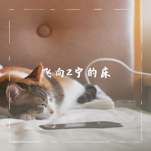 飞向2宁的床