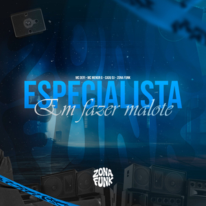 ESPECIALISTA EM FAZER MALOTE