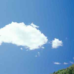 阿尔茨海默的爱