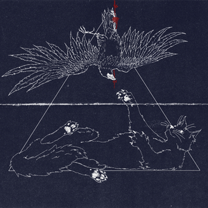 Лучше, чем вчера