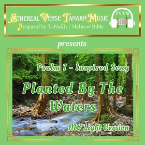 Psalm 1-Inspired Song "Planted By The Waters" (MV Light Version)