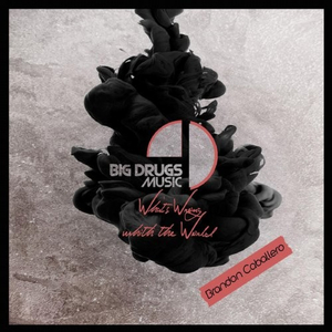 What's Wrong With The World (Original Mix)