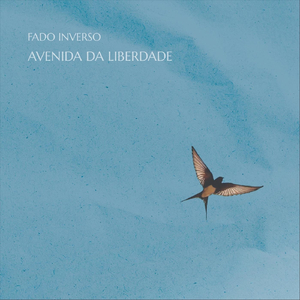 Andorinha (A Chegada)