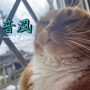 音風