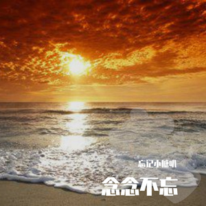 我的爱最后没有回应