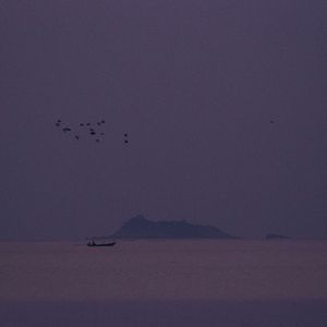 echoes from a fading summer