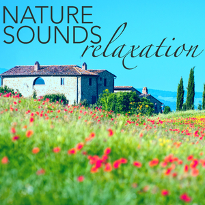 Natute Sounds (Hang Drum)