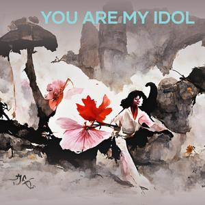 you are my idol