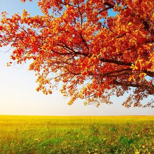 曾有时光给我们幸福