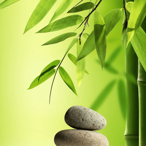 《青涩信物里的甜蜜旧忆》