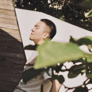 木头人 吉他弹唱