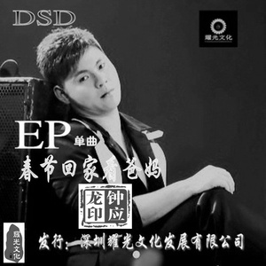 春节回家看爸妈  (DJ版)