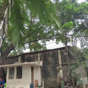 Kegirangan X Slebew (Acoustic)