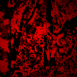 Project_404