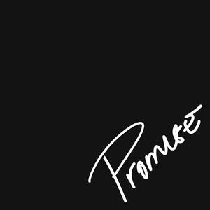 Promise