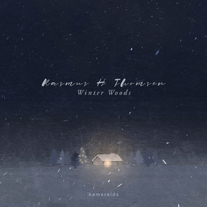 Winter Woods