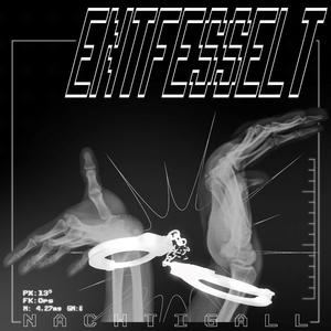Entfesselt (Original Mix)