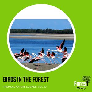 Deadly Black and Brown Rattle Snake