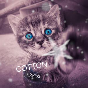 Cotton