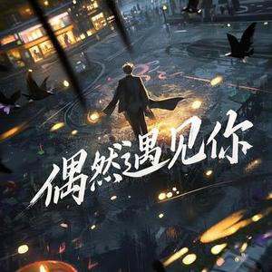 偶然遇见你