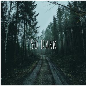 sodark