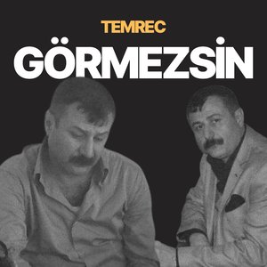 Görmezsin