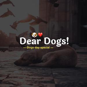 Dear Dogs