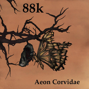 88k