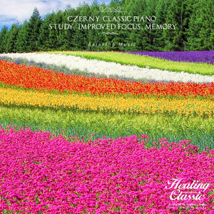 Czerny: Variations On A Theme By Rode "La Ricordanza" Op.33 - Var I. Stesso Tempo