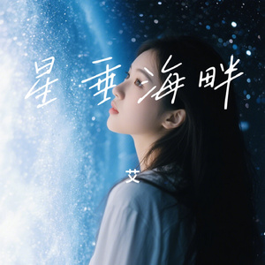 星垂海畔