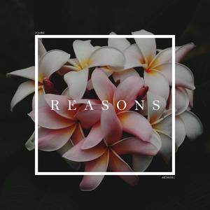 Reasons