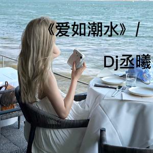 DJ丞曦-爱如潮水remix