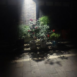 独白
