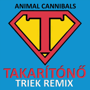 Takarítónő (Triek Remix)