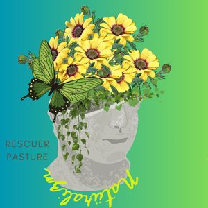 Gözyaşı Akıtan Gökyüzü